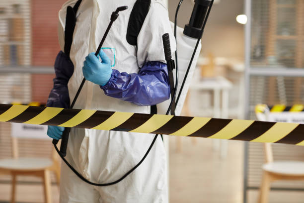 Professional Sewage Cleanup technician working in Breckenridge, TX